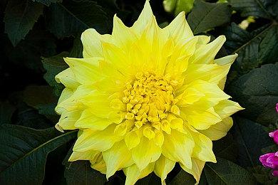 互动视觉小说游戏《不＆存在的你，和我》现已正式发售！